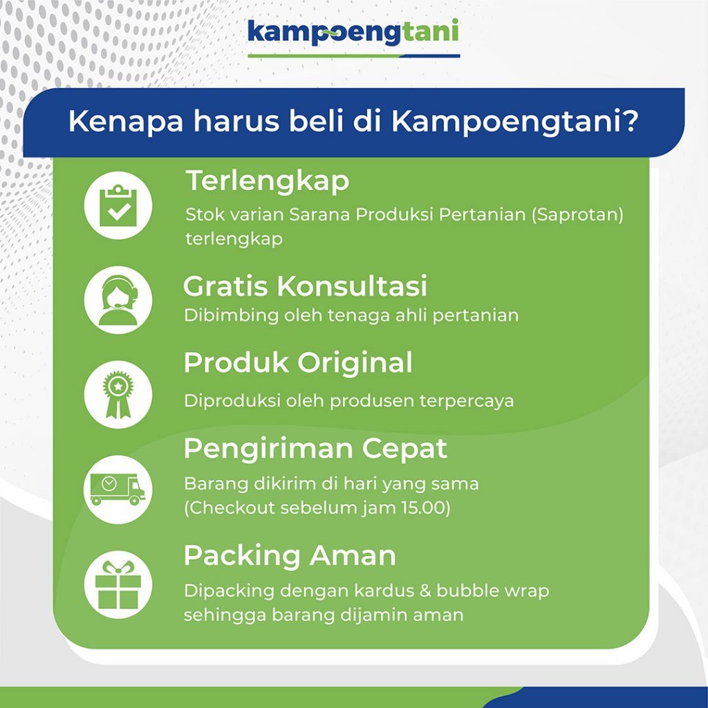 knp harus beli produk